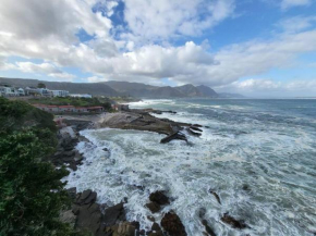 *Self-Check in - Whale Watching Paradise -Central*